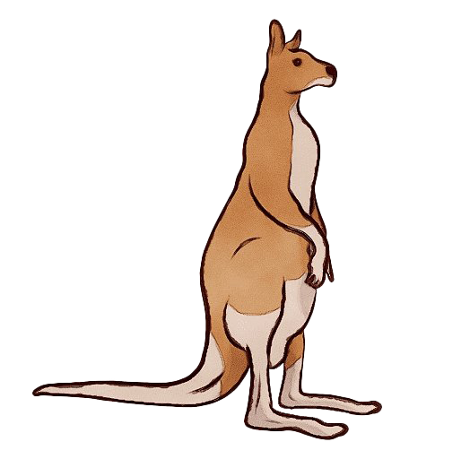 Kangaroo Wallaby PNG Free Download