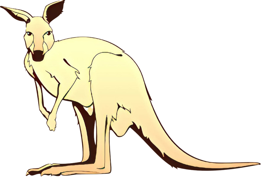 Kangaroo Wallaby Transparent Images PNG