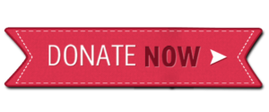 Donate Now Stitched Button