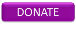Donate Purple Button
