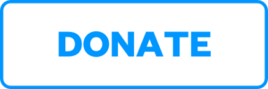 Simple Blue Outline Donate Button