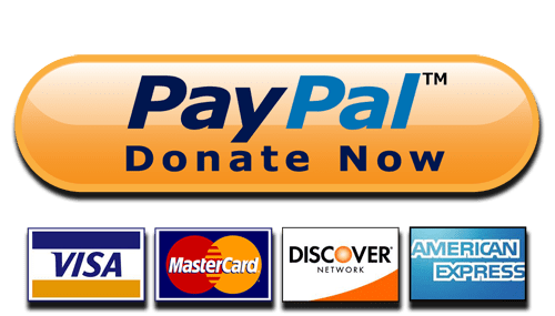 Donate Now Paypal and Cards Button