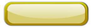 Large Gold Button With Border