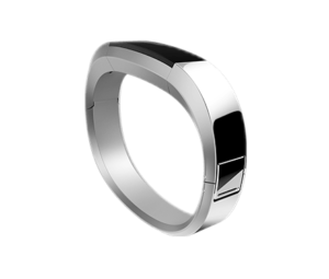Fitbit Alta Wristband