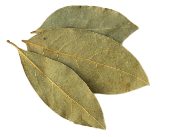 Bay Leaf