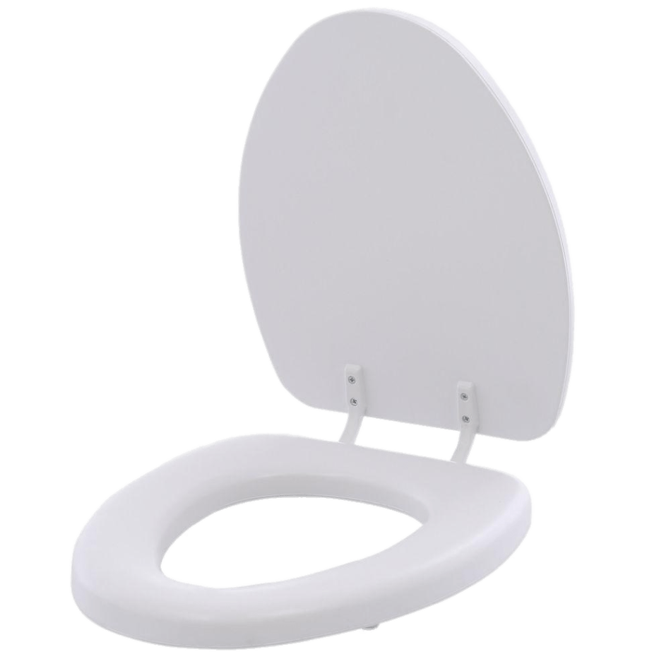 Open White Toilet Seat