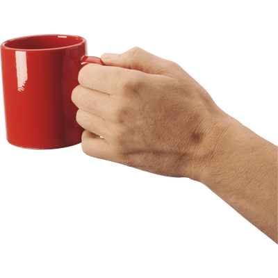 Holding Coffee Mug Hand png hd Transparent Background Image - LifePng