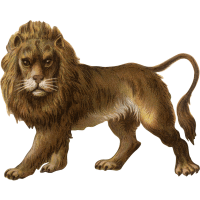 Victorian Vintage Lion png hd Transparent Background Image - LifePng