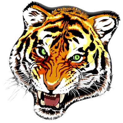 Tiger Tattoo Colour png hd Transparent Background Image - LifePng